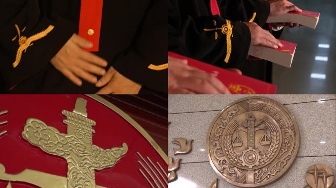 党建 纪委监察法院 五角星国旗