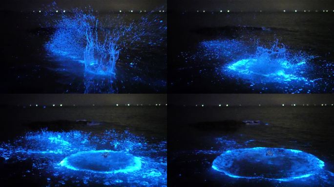 4K 升格 蓝眼泪 实拍 荧光海