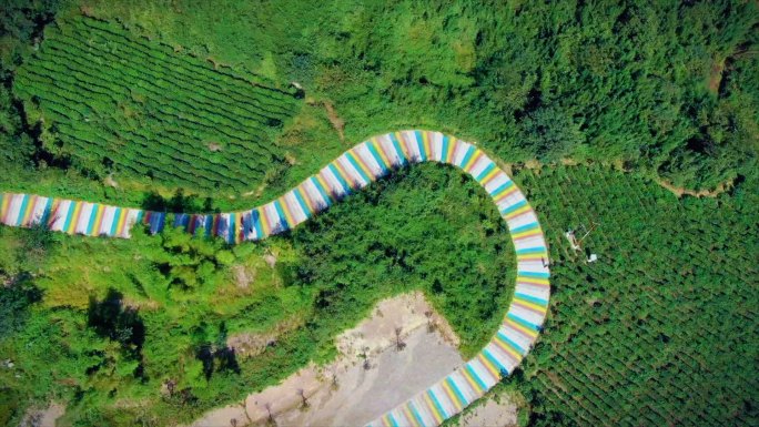 浙江湖州彩虹步道竹林茶园生态山顶航拍