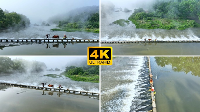 丽水 缙云仙都 农夫牵牛