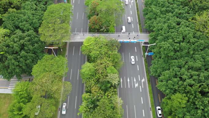 道路车流畅通