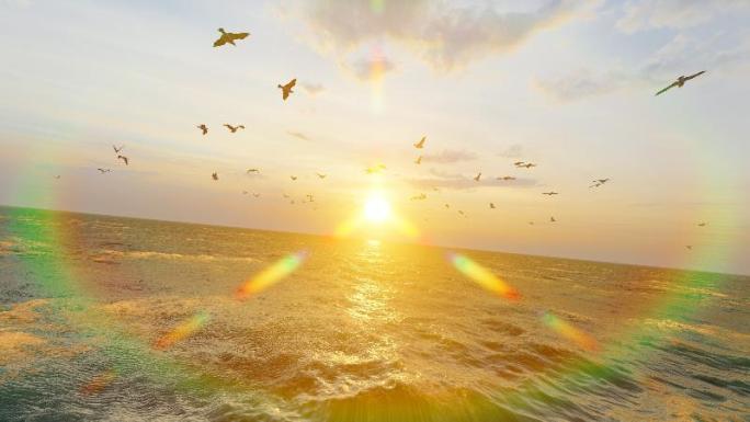 在夕阳黄昏的大海自由翱翔的海鸟