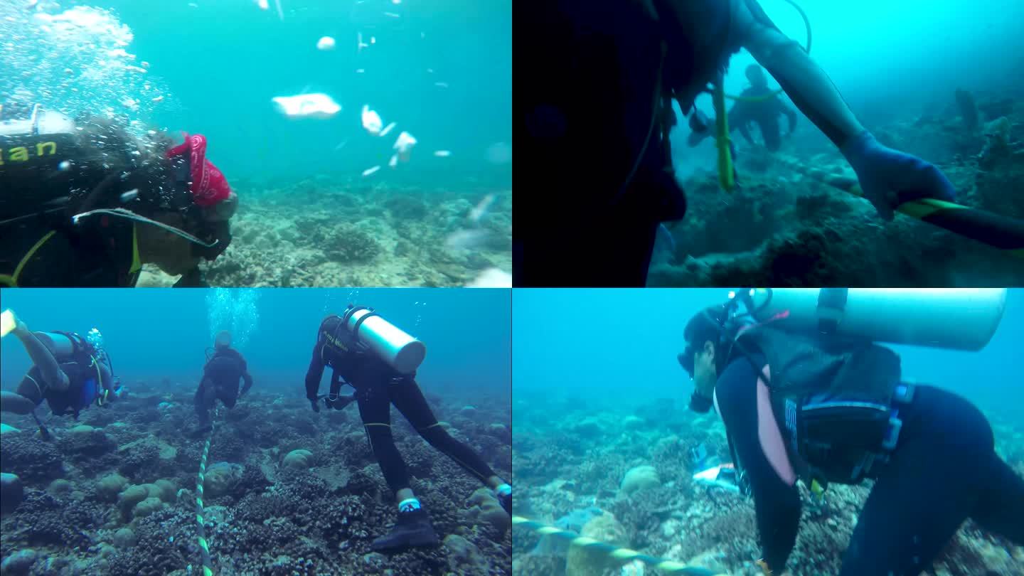 海底世界 潜水者 水下摄影
