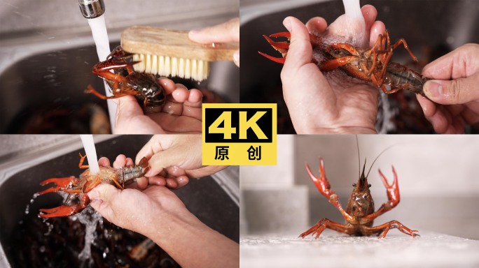 清洗小龙虾升格素材视频
