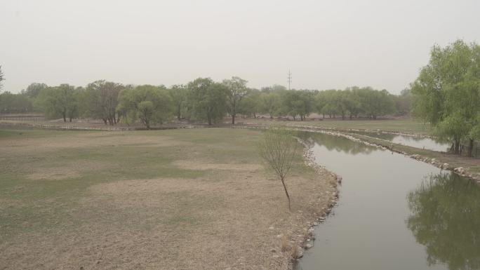 大片湿地沼泽摇镜头风光风景实拍4K