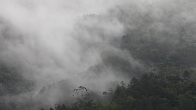 深山大雨中大雾弥漫