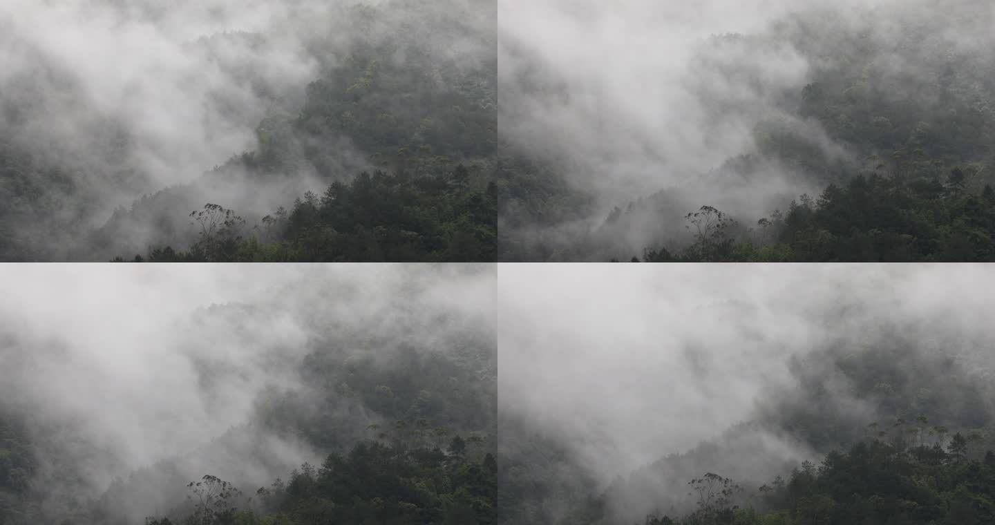 深山大雨中大雾弥漫