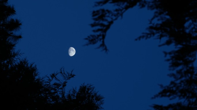 宁静夜晚的月亮
