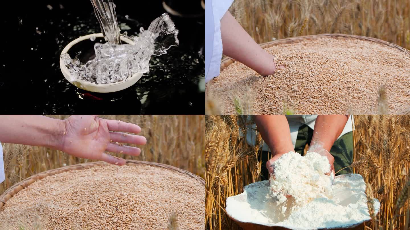 小麦麦田