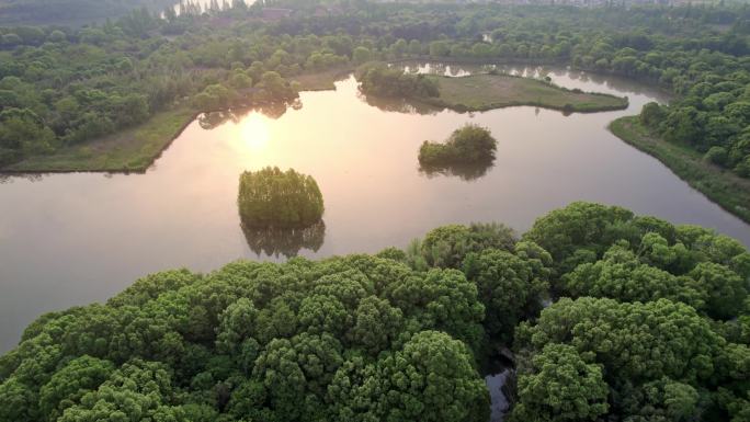 余姚 河姆渡遗址公园 湿地生态