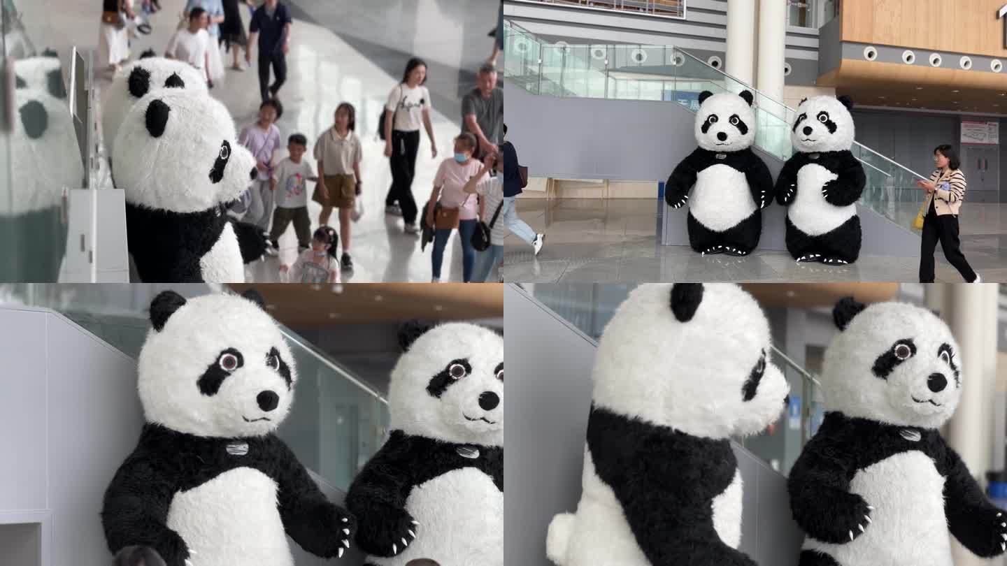 呆萌卡通大熊猫人偶大熊猫成都大运会宣传