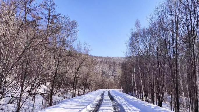 行驶在崎岖颠簸的森林雪路上