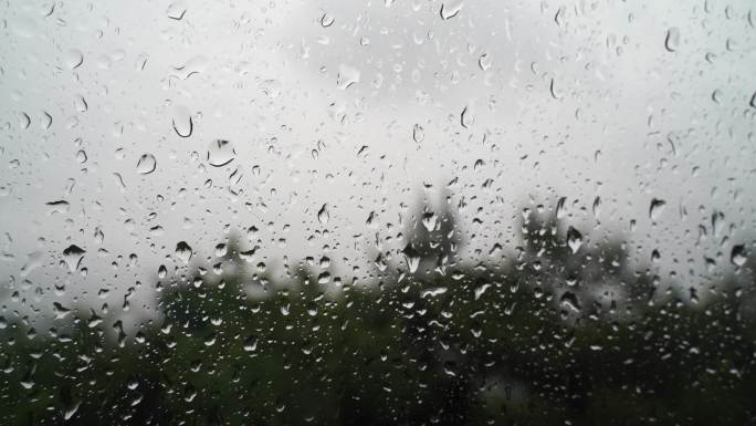 下雨天窗外风景水滴雨珠树林森林雨水风光