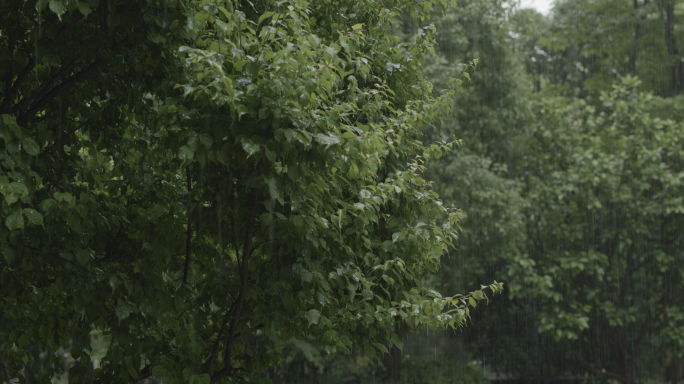 夏天狂风暴雨