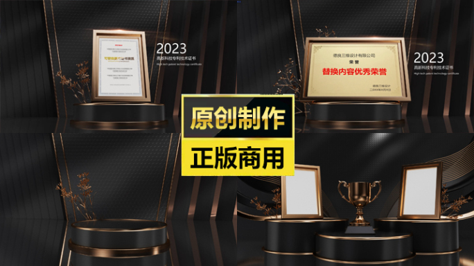 2024新奖杯荣誉资质证书专利模板