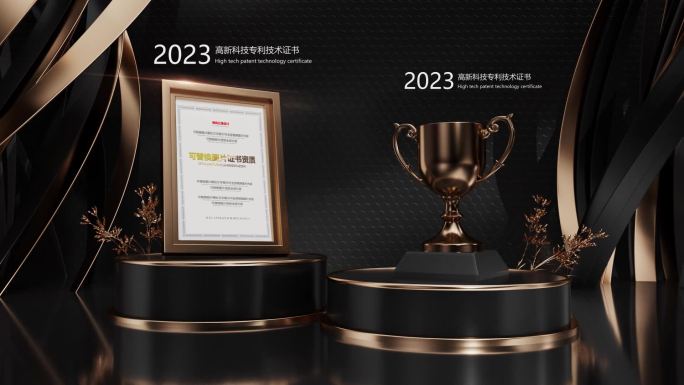 2024新奖杯荣誉资质证书专利模板