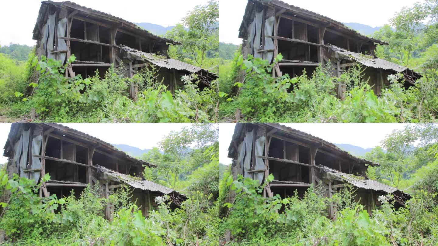 视频 木头木材 农村 木房屋 木房子