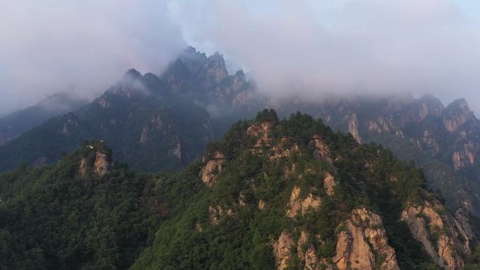 航拍伏牛山南北气候分水岭老界岭景区云海