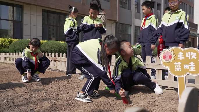 小学生校园种菜