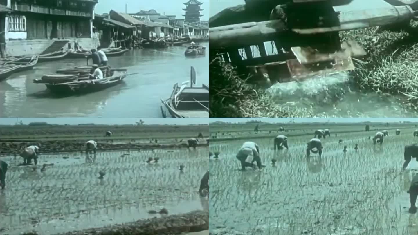 50年代江人文南风光影像6