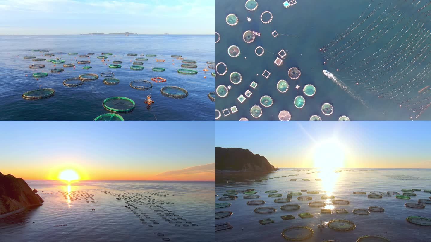 海上日出现代化渔业养殖基地影视素材