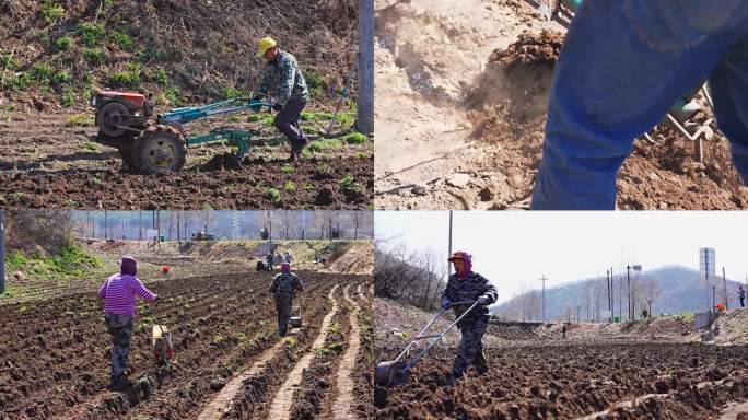 农民种地播种犁地