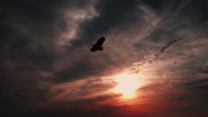 风筝在夕阳的余晖中迎风飞翔风筝视频素材