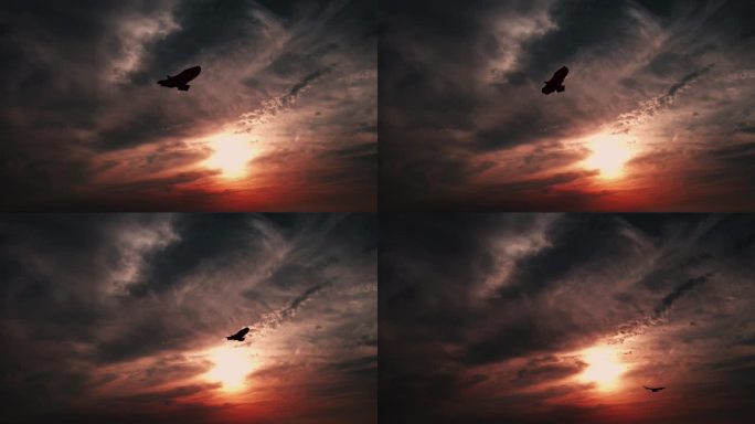 风筝在夕阳的余晖中迎风飞翔风筝视频素材