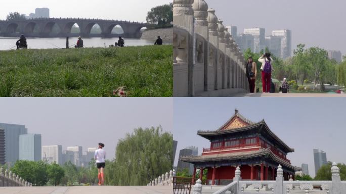 踏青春游玫瑰花蜜蜂采蜜北京通州西海子公园