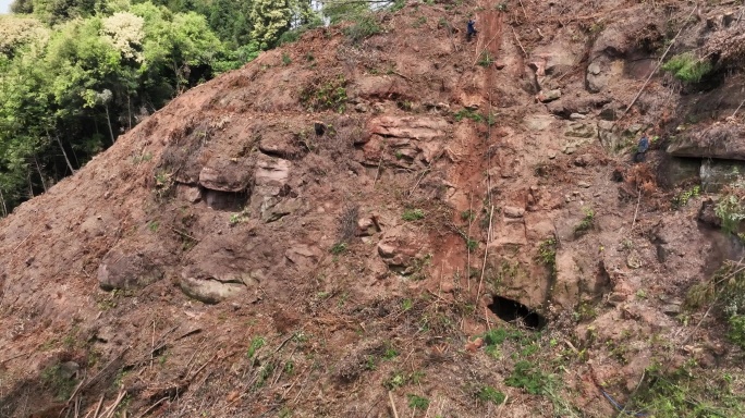 航拍林场砍伐木材山林光秃秃的山坡环保概念