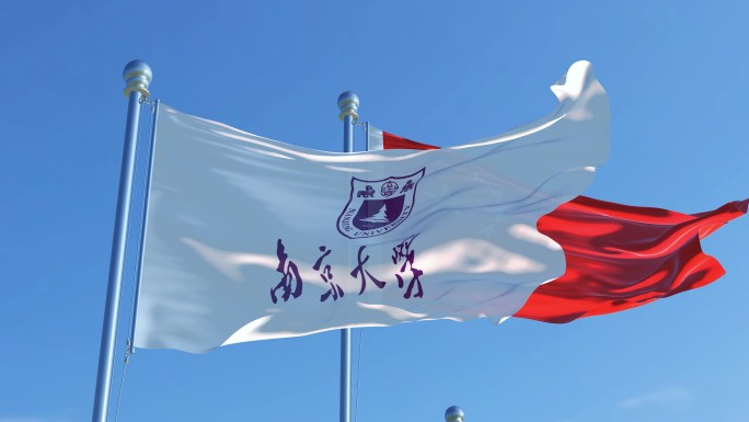 南京大学旗帜