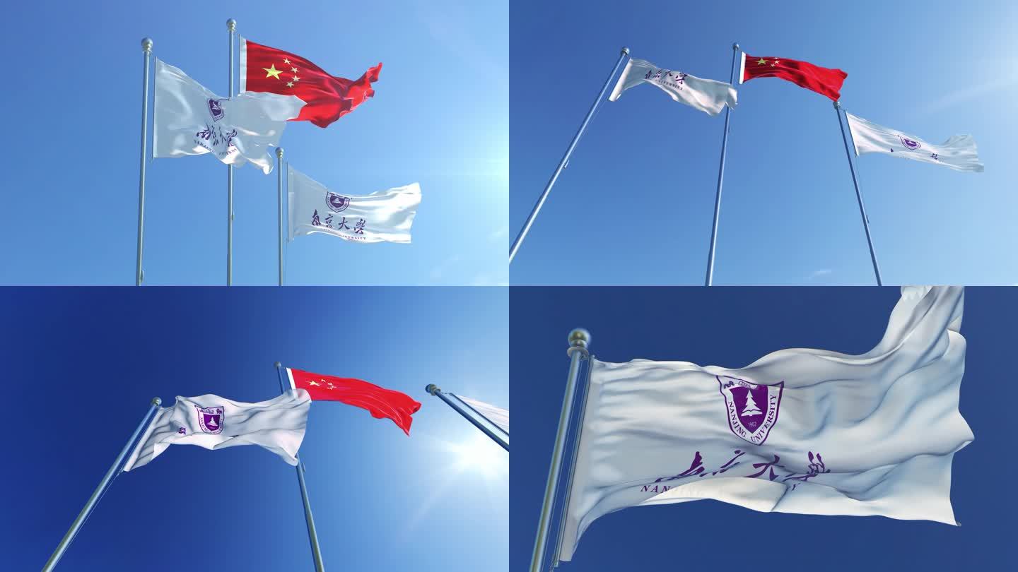 南京大学旗帜