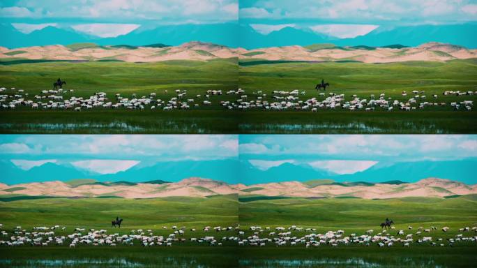牧人在草原深处放羊