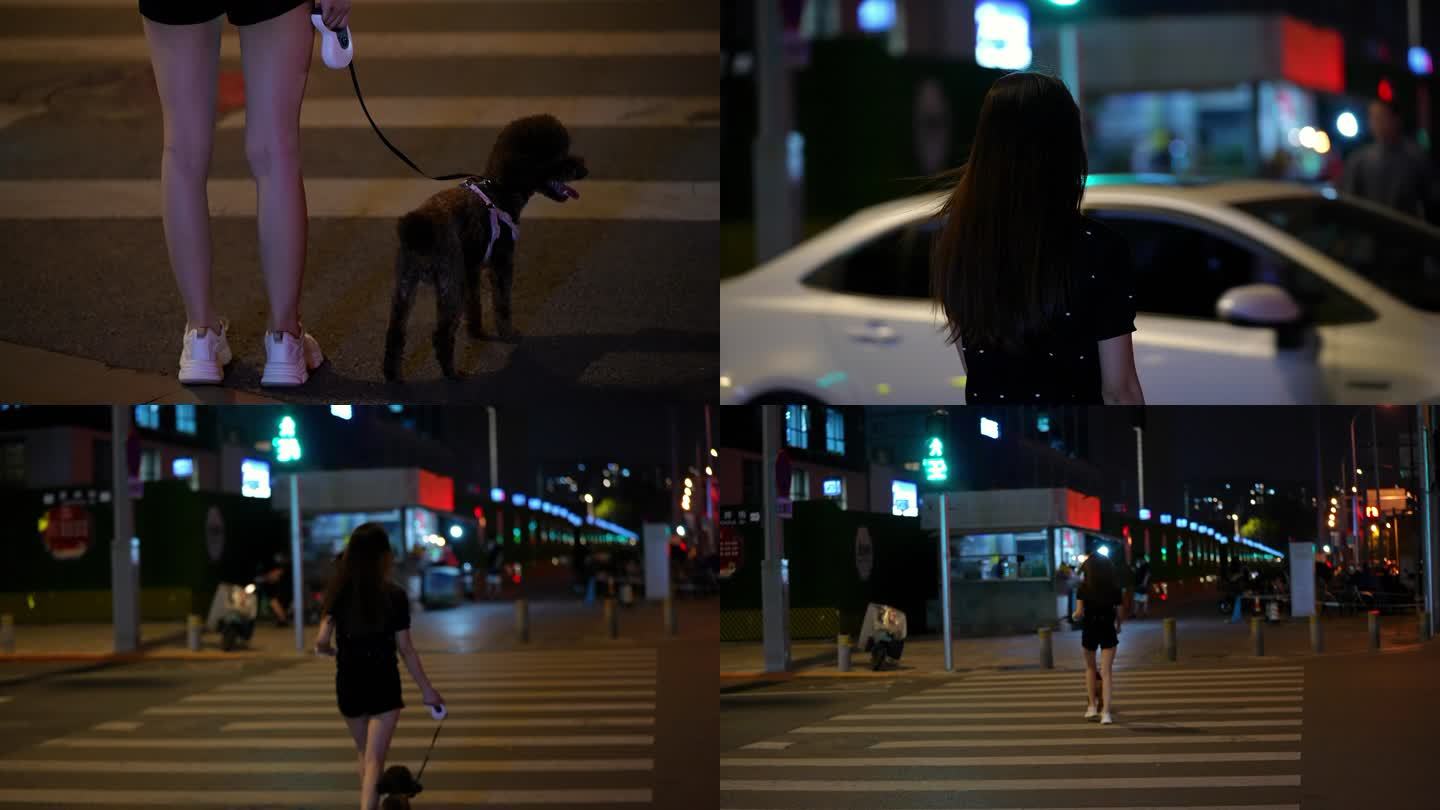 美女夜晚遛狗 牵狗过马路