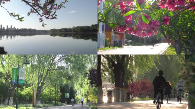 骑行踏青北京通州大运河景区游园逛公园游客