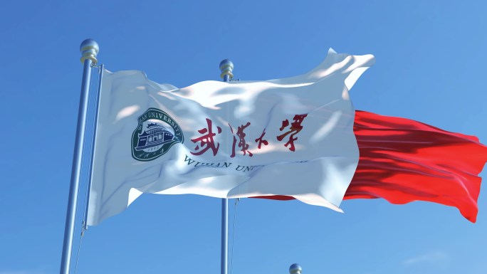 武汉大学旗帜