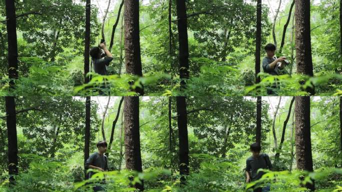 脚步 单反带单反 拍植物 拍摄植物 绿林