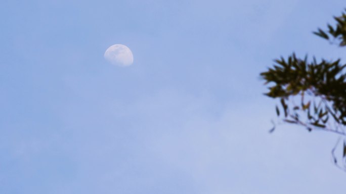 月亮挂在蓝色天空