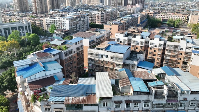 小区上空鸽子飞过建筑上方飞鸟飞来飞去