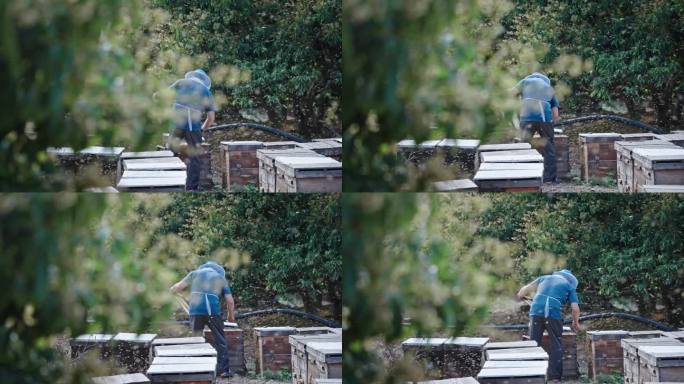 【正版素材】养蜂人3075