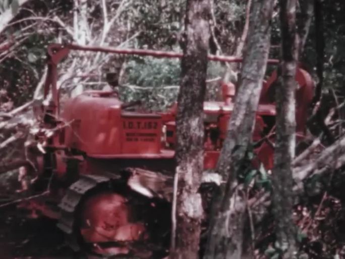 60年代砍伐森林 70年代破坏森林