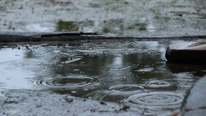 淅淅沥沥的小雨