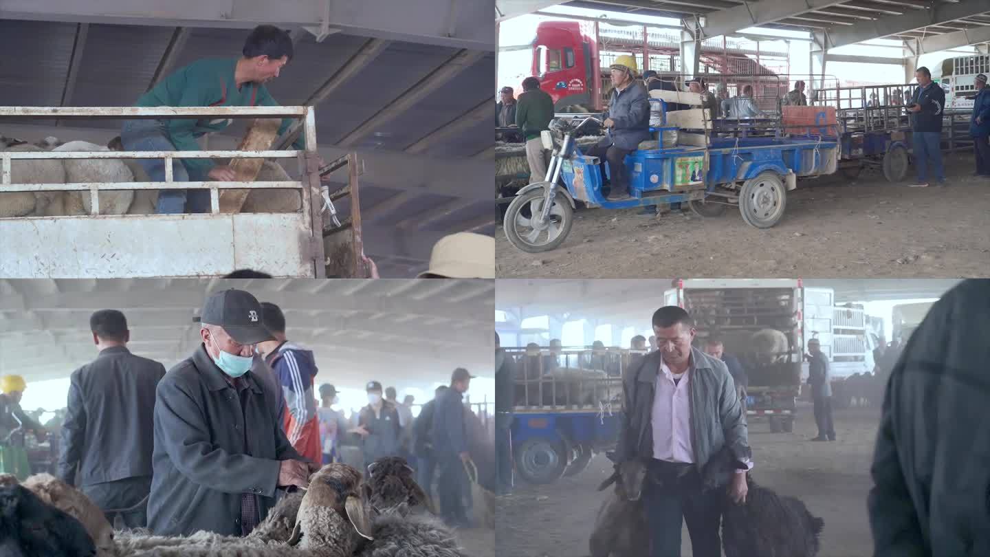新疆喀什牛羊巴扎牲畜交易市场