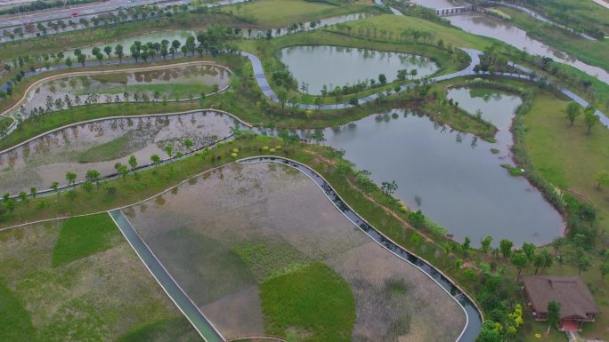 航拍厦门马銮湾双溪湿地公园