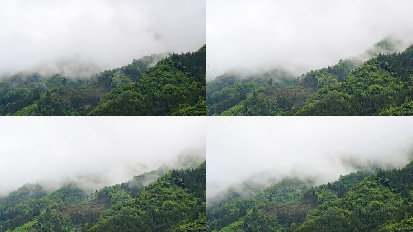 雨后空山山岚腾驰云雾飘荡