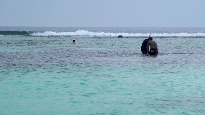 海边景色 沙滩游玩的人群 海鸥海浪海滩