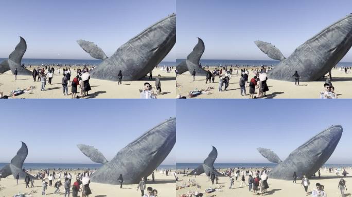 烟台鲸落晴朗海边海浪海滩白昼海岸线空镜