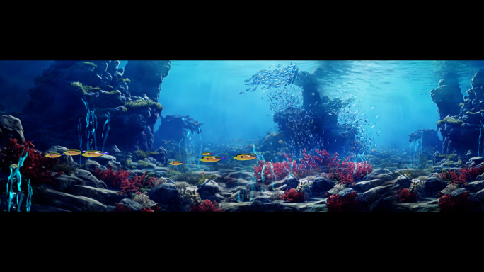 12K海底世界视频素材