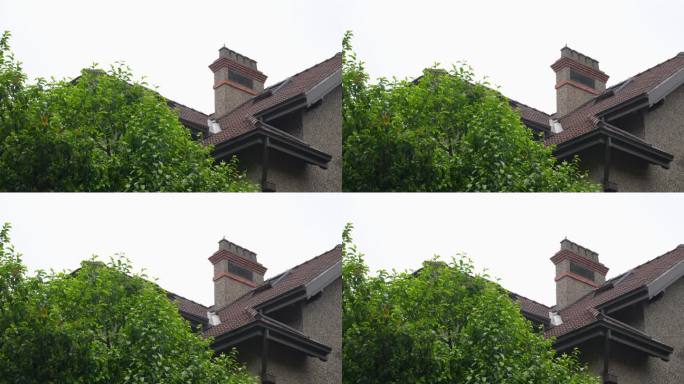 上海老房子屋顶特写