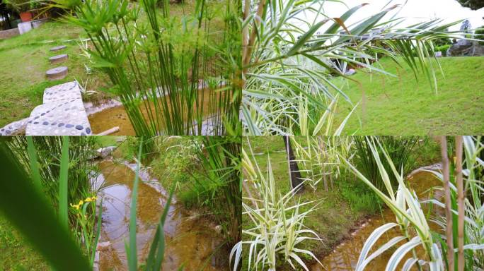 小桥流水绿色植物寺院景色